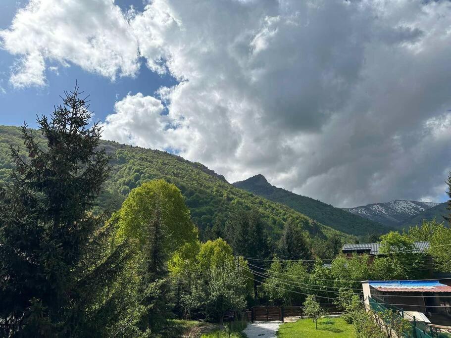 Cosy Mountain Villa In Nizepole Bitola Buitenkant foto